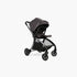 DFY R1 Stroller